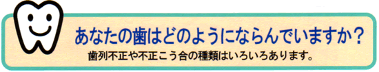 歯のテキスト：あなたの歯はどのようにならんでいますか？