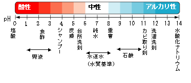 酸性とアルカリ性　図