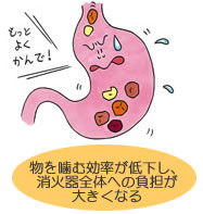 物を噛む効率が低下し、消化器全体への負担が大きくなる