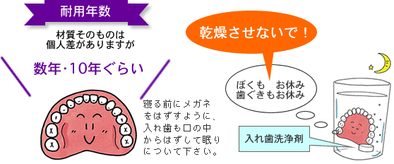 入れ歯の耐用年数