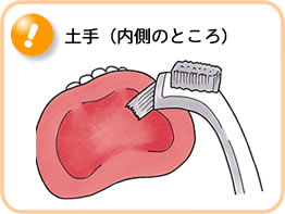 入れ歯の手入れ1