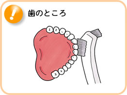 入れ歯の手入れ4