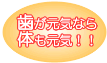 歯が元気なら体も元気！！