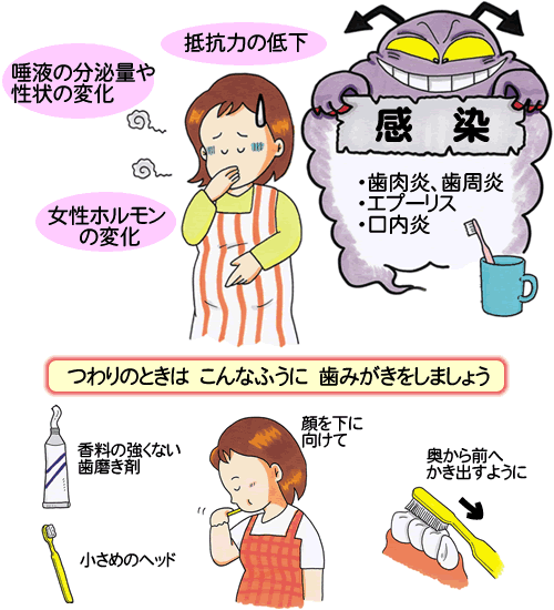 妊娠中の歯とお口　その2