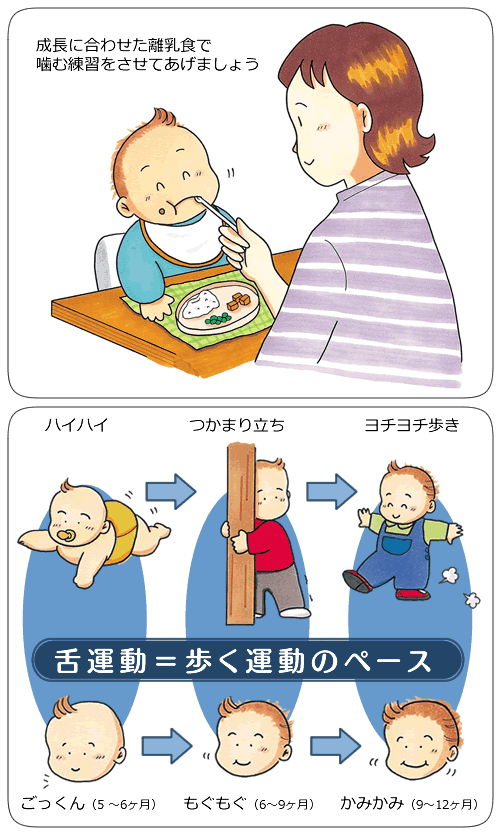 イラスト・離乳食で噛む練習を！