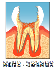 摜FE됫̃C[W